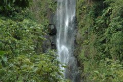 DSC_1453-.Medium