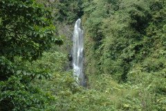 DSC_1455-.Medium