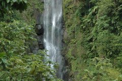 DSC_1456-.Medium
