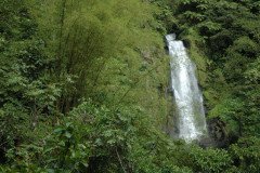 DSC_1458-.Medium