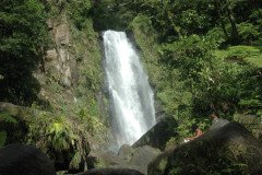 DSC_1468-.Medium