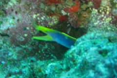 IMG_1516-.Medium