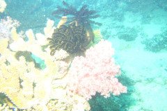 IMG_1549-.Medium