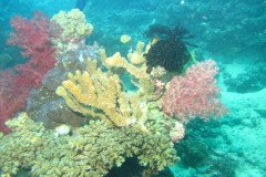IMG_1551-.Medium