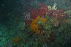 IMG_1555-.Medium