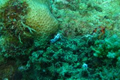 IMG_1573-.Medium