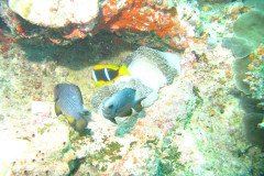 IMG_1584-.Medium