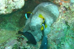 IMG_1586-.Medium