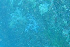 IMG_1598-.Medium