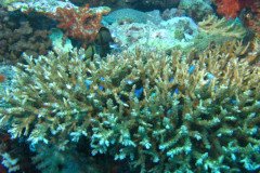 IMG_1607-.Medium