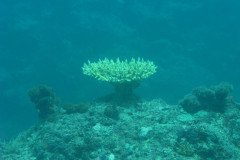 IMG_1684-.Medium