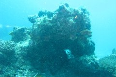 IMG_1687-.Medium
