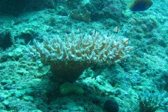 IMG_1688-.Medium