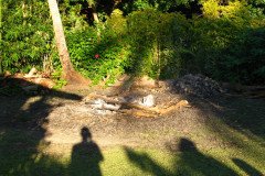 IMG_1702-.Medium