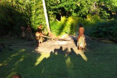 IMG_1707-.Medium