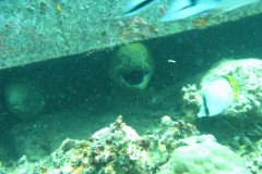 IMG_1753-.Medium