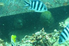 IMG_1754-.Medium