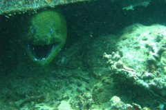 IMG_1756-.Medium