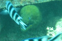 IMG_1758-.Medium