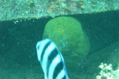 IMG_1759-.Medium