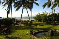 IMG_1764-.Medium