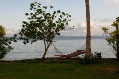 IMG_1780-.Medium