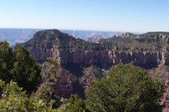 DSC00481-Medium