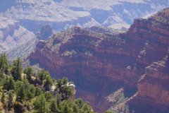DSC00487-Medium