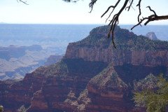 DSC00489-Medium