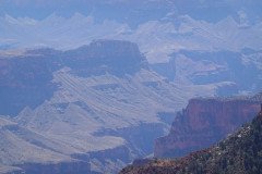 DSC00490-Medium