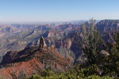 DSC00497-Medium