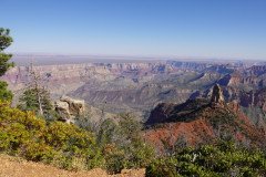 DSC00499-Medium