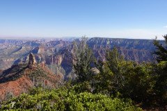 DSC00500-Medium