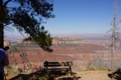 DSC00502-Medium