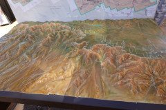 DSC00506-Medium