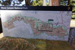 DSC00507-Medium