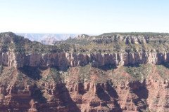 DSC03078-Medium