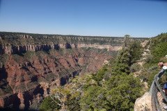 DSC03083-Medium