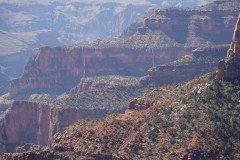 DSC03084-Medium