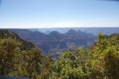 DSC03086-Medium