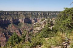 DSC03092-Medium