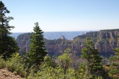 DSC03093-Medium