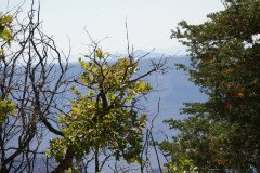 DSC03094-Medium