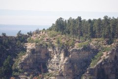 DSC03096-Medium