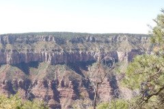 DSC03100-Medium