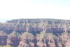 DSC03101-Medium