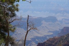 DSC03103-Medium