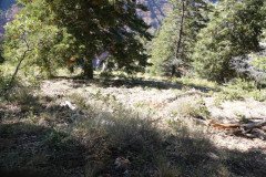 DSC03107-Medium