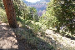 DSC03108-Medium