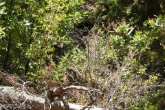 DSC03114-Medium